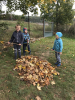 Chlapci hrabají listí 